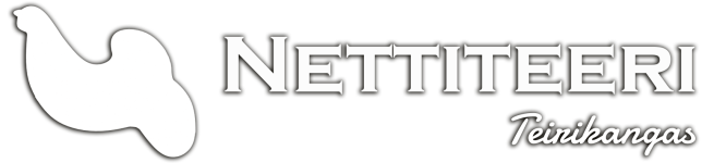 Nettiteeri Oy logo – digitaalisten palveluiden asiantuntija